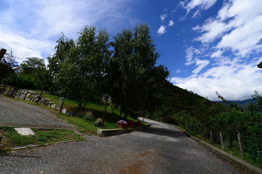 B&B Scotty & Co. Susa Dış mekan fotoğraf