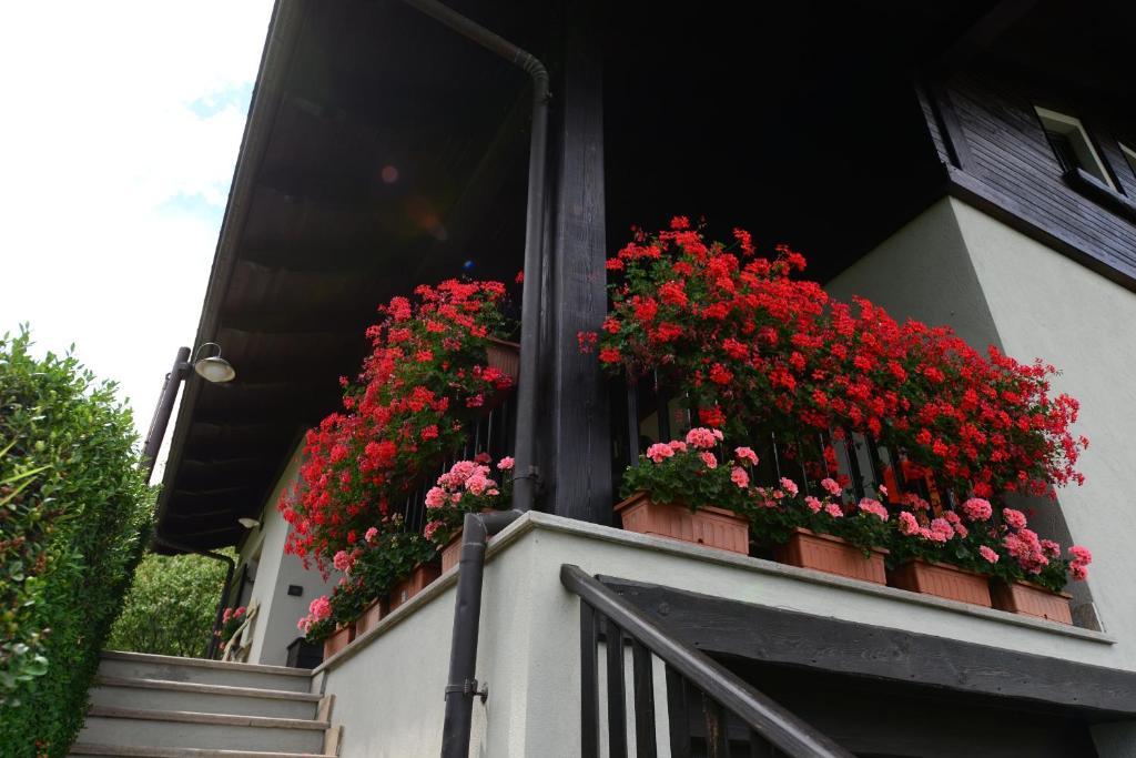 B&B Scotty & Co. Susa Dış mekan fotoğraf