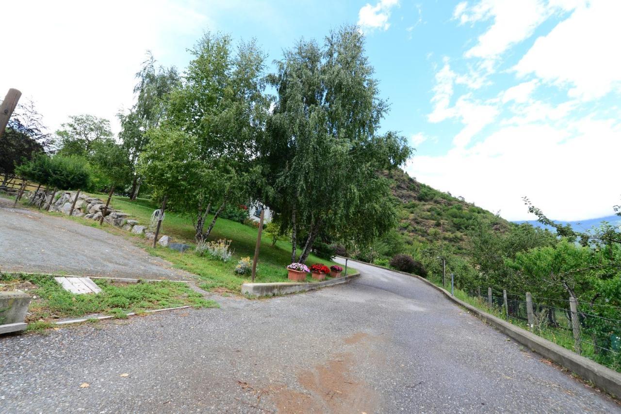 B&B Scotty & Co. Susa Dış mekan fotoğraf